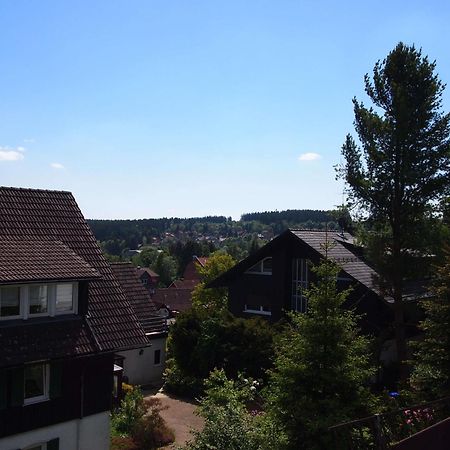 Ferienwohnung Schimmer Wurmbergblick Braunlage Eksteriør billede